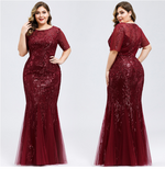 Plus Size Evening Party Dresses