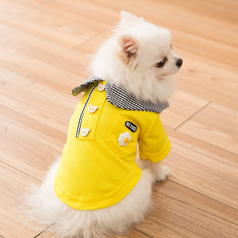Dog's summer clothes