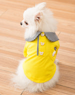 Dog's summer clothes